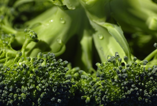 broccoli-1792236_640